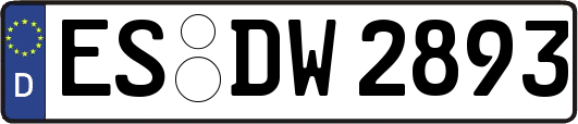 ES-DW2893