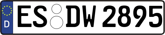 ES-DW2895