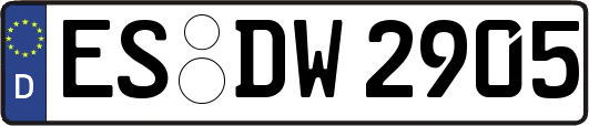 ES-DW2905