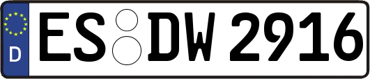 ES-DW2916