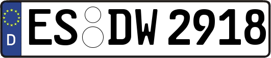 ES-DW2918