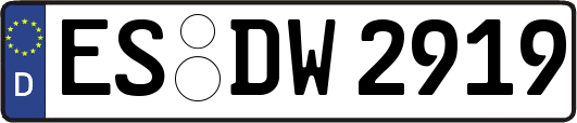 ES-DW2919