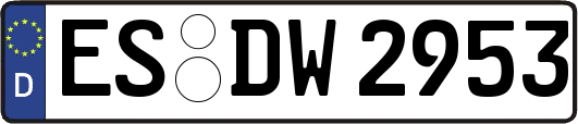 ES-DW2953