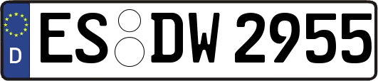 ES-DW2955