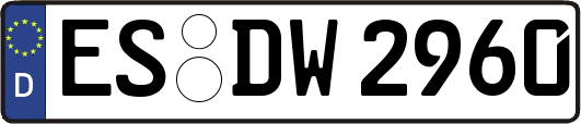 ES-DW2960
