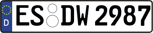 ES-DW2987