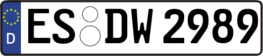 ES-DW2989