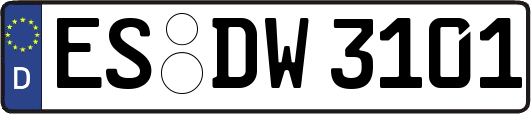 ES-DW3101