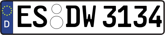 ES-DW3134