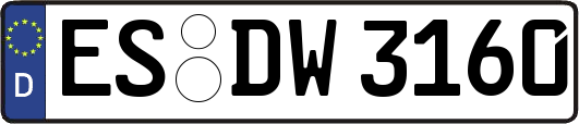 ES-DW3160