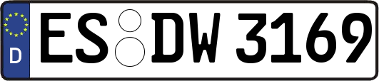 ES-DW3169
