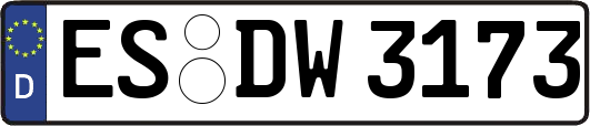 ES-DW3173