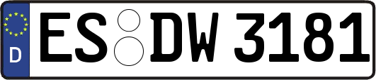 ES-DW3181