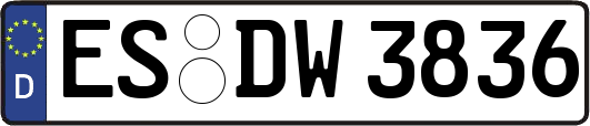 ES-DW3836