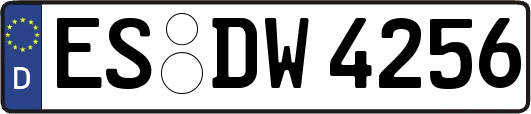 ES-DW4256