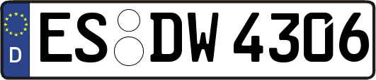 ES-DW4306