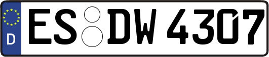 ES-DW4307