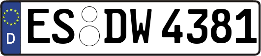 ES-DW4381
