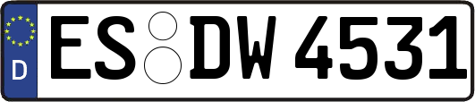ES-DW4531