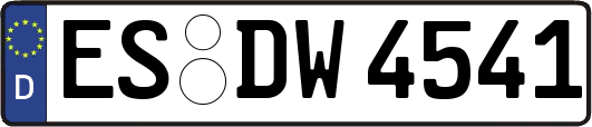 ES-DW4541