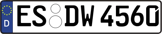 ES-DW4560