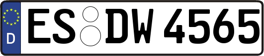 ES-DW4565