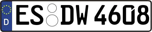 ES-DW4608