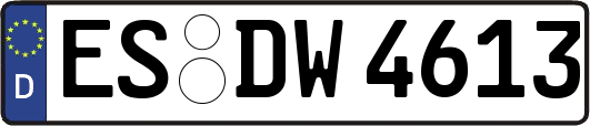 ES-DW4613