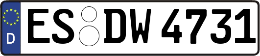 ES-DW4731