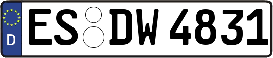 ES-DW4831