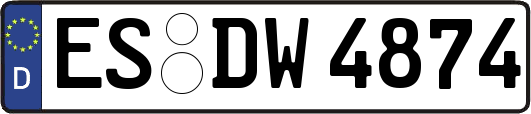 ES-DW4874