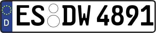 ES-DW4891