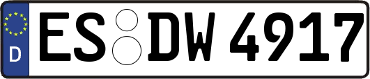 ES-DW4917