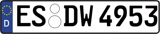 ES-DW4953
