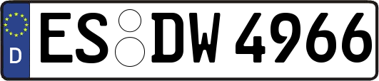 ES-DW4966