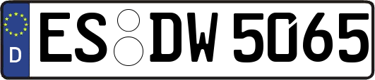 ES-DW5065