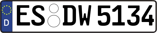 ES-DW5134
