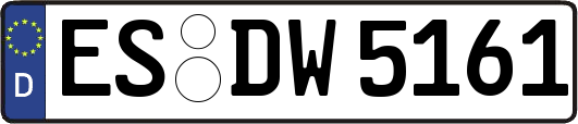 ES-DW5161