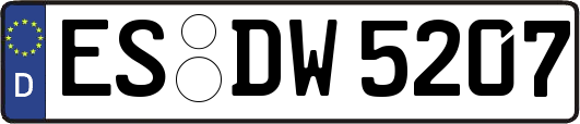 ES-DW5207