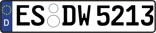 ES-DW5213