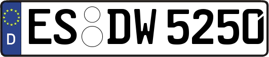 ES-DW5250