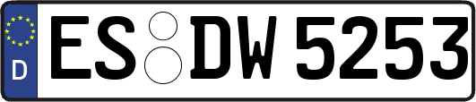 ES-DW5253