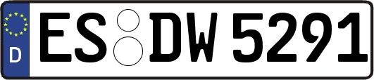 ES-DW5291