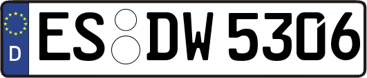 ES-DW5306