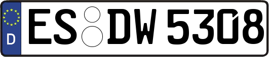 ES-DW5308