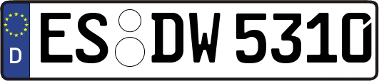 ES-DW5310