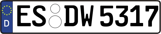 ES-DW5317