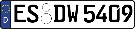 ES-DW5409