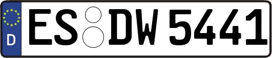 ES-DW5441