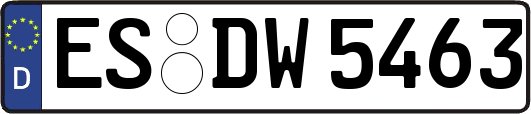 ES-DW5463